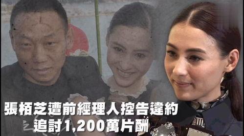 吃瓜娱乐盘点,吃瓜群众必看年度大戏