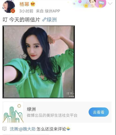 娱乐圈吃瓜不断,揭秘明星们的“瓜田”秘闻
