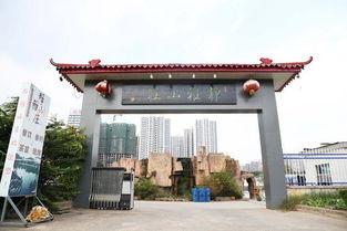娱乐吃瓜酱临沂大学,娱乐吃瓜酱的校园风云录