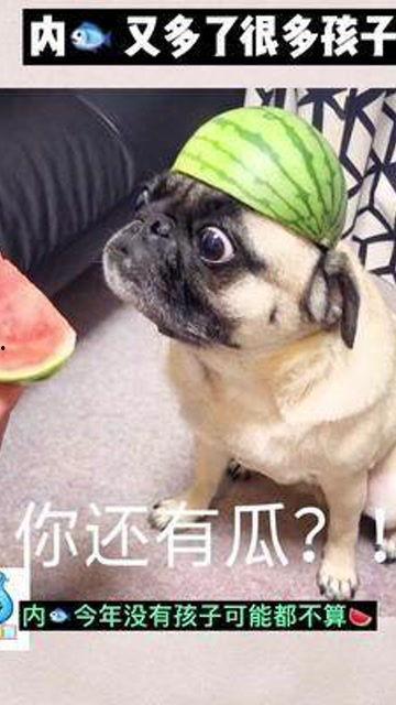娱乐是一个圈吃瓜,一场永不落幕的“吃瓜”盛宴
