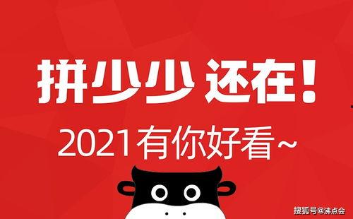 微信公众号吃瓜娱乐,吃瓜娱乐带你探秘明星生活