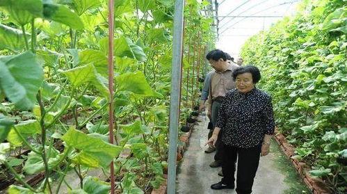 娱乐吃瓜酱说名字是真的吗,揭秘“娱乐吃瓜酱说名字是真的吗”传闻背后的真相