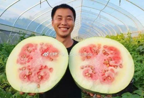 小冬瓜直播间娱乐圈吃瓜,小冬瓜直播间揭秘幕后真相
