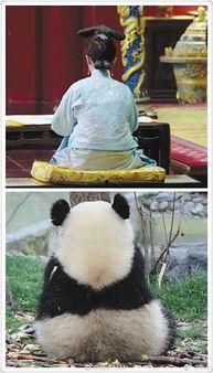 娱乐是个圈吃瓜群众散,吃瓜群众散生记