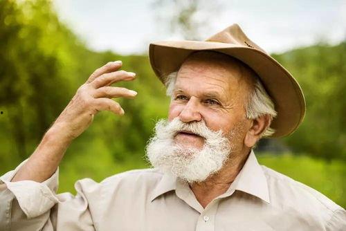 娱乐吃瓜酱老人,揭秘娱乐圈背后的真相