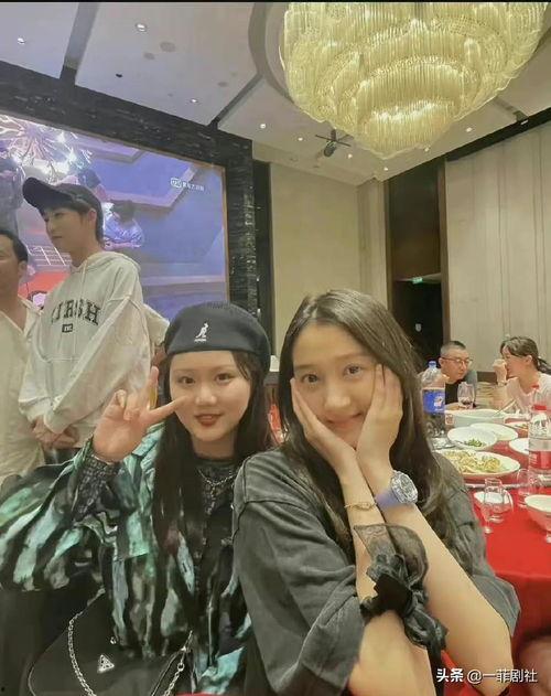 娱乐圈吃瓜的高端叫法,揭秘高端“吃瓜”背后的精彩故事