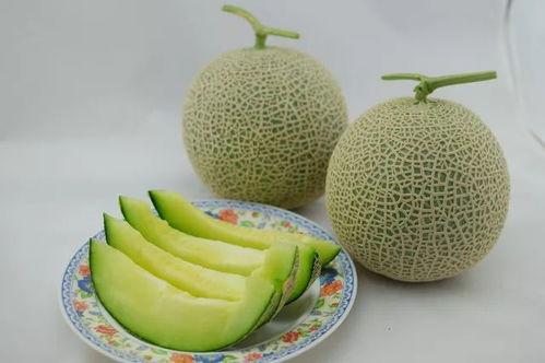 娱乐家吃瓜,揭秘明星们的“吃瓜”日常