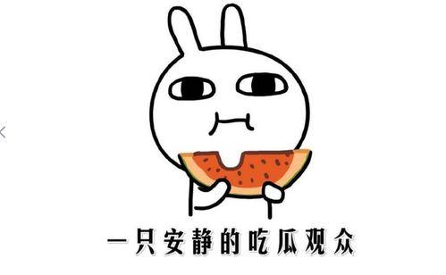 娱乐吃瓜点评怎么写的啊,揭秘明星幕后故事