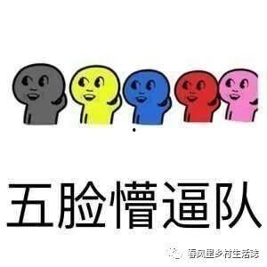 娱乐吃瓜有趣名字大全图片,趣味横生！盘点娱乐圈那些搞笑的“吃瓜”昵称