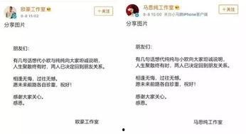 娱乐圈吃瓜张翰视频,揭秘明星幕后故事