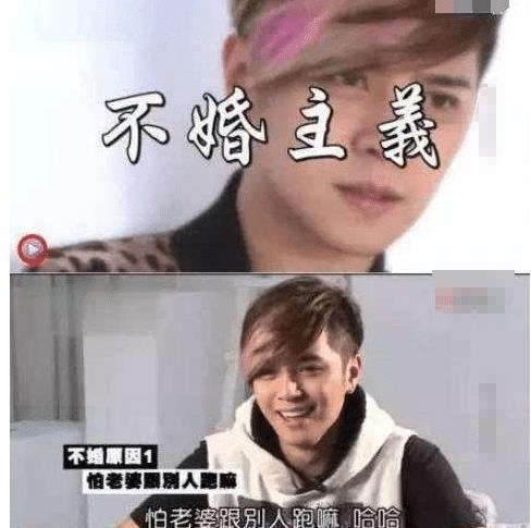 最近娱乐圈吃瓜网友的梗