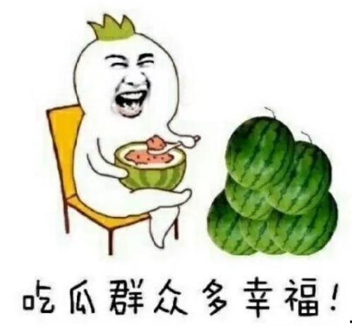 吃瓜娱乐计算机