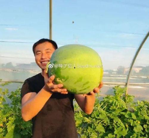 娱乐吃瓜酱百岁,娱乐吃瓜酱的璀璨人生回顾