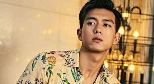 娱乐圈吃瓜爆料李现,娱乐圈风云再起，揭秘明星背后的故事